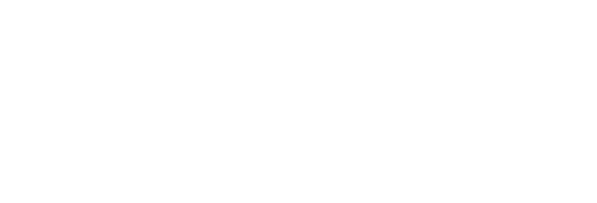 Denes Bilanzierungs GmbH